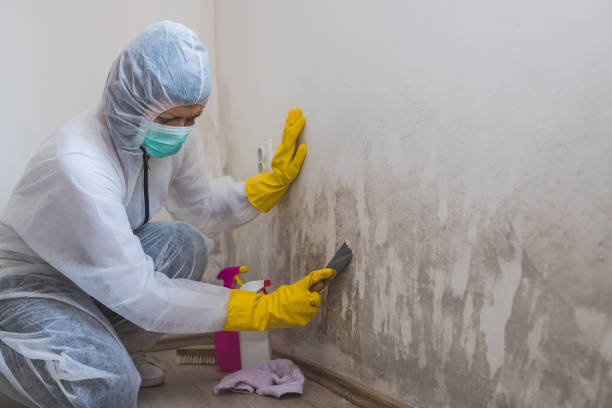 Best HVAC Mold Remediation in Eastover, NC