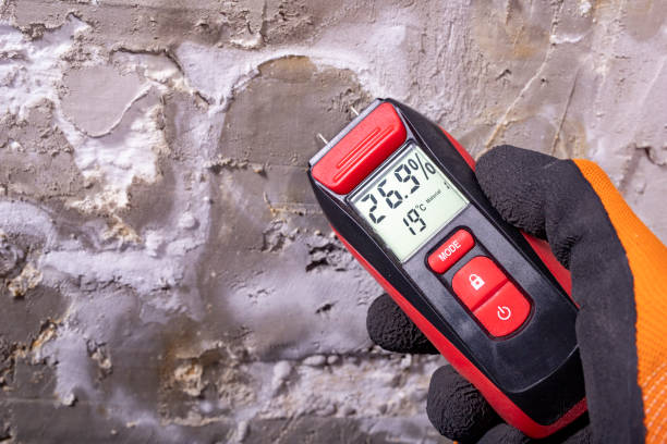 Best Basement Mold Remediation in Eastover, NC