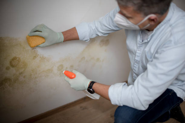 Eastover, NC Mold Remediation Company